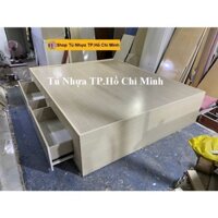 Giường Nhựa [Nhựa Winmax & Vincoplast Cao Cấp] 2 Hộc Kéo Màu Gỗ Sồi GN016