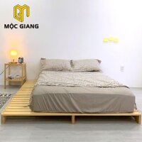 Giường Pallet / Giường Pallet 1m2 x 2m cao 10cm xếp gọn