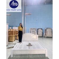 Giường sắt 1m4, giường ngủ sắt cao cấp, lắp ráp dễ dàng, thuận tiện, Shop ATD giao hàng miễn phí