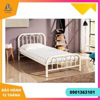 Giường sắt đơn Phố Núi 1m2x2m màu kem giá rẻ