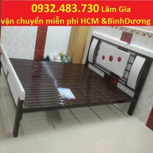 Giường sắt giá rẻ Duy Phương 1m4 x 2m