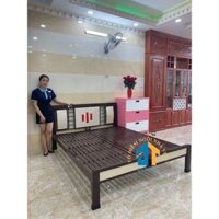 Giường sắt hộp 48 1m6x2m Đại Thành