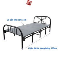 Giường sắt xếp gọn Luxy Qui Phúc 1m0 1m2, Giường gấp gọn thông minh