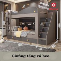 Giường tầng cá heo thông minh Ohaha - GTTM054