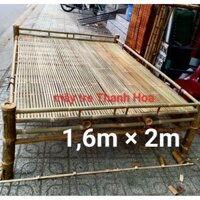 giường tre, giường tre lớn 1,6m × 2m