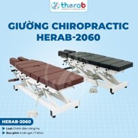 Giường Trị Liệu Nắn Chỉnh Cột Sống Động Cơ Nâng Hạ Herab-2060 dùng trong cơ sở vật lý trị liệu
