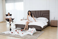 Giường vải nỉ hạng sang mã DV8