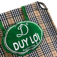 GIƯỜNG XẾP INOX DUY LỢI CỠ NHỎ - TẶNG 10 MÓC ÁO KÉP NHỰA CAO CẤP DUY LỢI