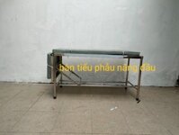 giường y tế tiểu phẩu nâng đầu – inox