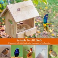 Giúp chim của bạn Xây dựng ngôi nhà ấm cúng 2 gói Vật liệu làm tổ chim lâu trôi