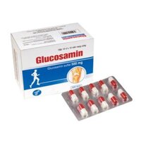 Glucosamin 500Mg H/60V – Hộp