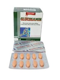 Glucosamin 500mg Khánh Hòa Hộp 100 viên