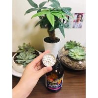 GLUCOSAMIN  BỔ XƯƠNG KHỚP NHẬT BẢN