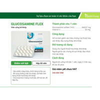 Glucosamine flex 60 viên