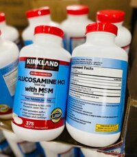 Glucosamine HCl & MSM 1.500mg (375v)