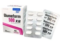 Glumeform Xr Metformin 500mg Dhg (H/100v)