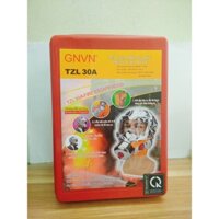 GNVN MẶT NẠ PHÒNG ĐỘC TZL30A