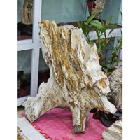Gỗ hoá thạch Gia Lai,sỉ lẻ đá phong thuỷ cho ae cửa hàng.