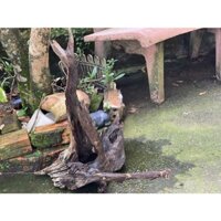 GỖ LŨA NGHỆ THUẬT 418