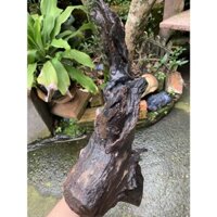 GỖ LŨA NGHỆ THUẬT 420