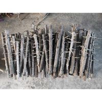 Gỗ lũa Thạch Sùng Chuyên Làm Layout Rừng SL 1KG