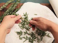 Gỗ Palo santo và bó lá xô thơm các loại thanh tẩy không gian sống và đem lại may mắn theo lựa chọn - 20gr lá hương thảo