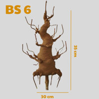 GỐC BONSAI BS6( CAO 35CM) LÀM THÂN MAI ĐÀO