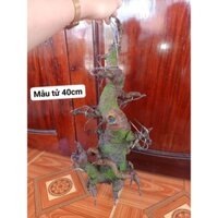 Gốc bonsai giả dáng mẫu tử 40cm 28-29 nhánh