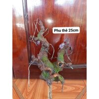 Gốc bonsai giả, gốc sơn acrylic dáng phu thê 25cm 25nhánh