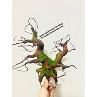 Gốc bonsai giả làm hoa