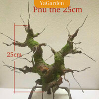 Gốc bonsai làm hoa giả kẽm nhung, thân cây bonsai giả làm cây handmade, Cây đào, cây mai, cây quất kẽm nhung Yagarden