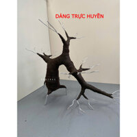 Gốc bonsai làm thân cây đào, cây mai kẽm nhung, hoa voan trang trí tết - DÁNG TRỰC HUYỀN
