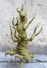 Gốc bonsai mai đào. Mã TBS 6