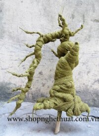 Gốc bonsai mai đào. Mã TF2