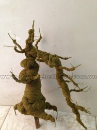 Gốc Bonsai Rêu Mai Đào  - Mã: TF3