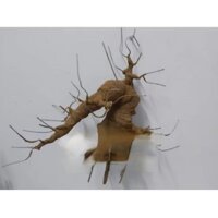 Gốc bonsai thác đổ 50cm. Gốc bonsai giả làm cây mai cây đào