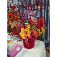 gốc cây bonsai dáng huyền