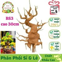 Gốc Cây Bonsai Giả - Loại BS3 Cao 30cm