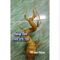 Gốc cây giả V5 - Thân kim tuyến 11 nhánh