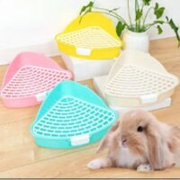 Góc Thỏ Lứa Khay Vệ Sinh Bô Huấn Luyện Cho Thỏ Chồn Hamster Rồng Mèo Chuột Lang Hà Lan-động Vật Hộp Vệ Sinh Nguồn Cung Cấp