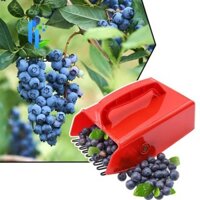 Gofidin Blueberry Picker Lược kim loại Rakes Thu thập trái cây di động
