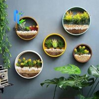 Gofidin Chậu hoa Đồ trang trí Phòng Giỏ treo trong nhà Màu xanh lá cây tròn Bền treo tường Bình thủy canh sáng tạo