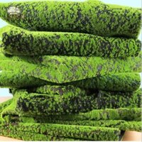 [Goi] 100 * 100cm Rêu Nhân Tạo Cây Xanh Giả Thảm Cỏ Rêu Trang Trí Nhà VN