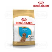 Gói 1500Gr Royal canin Poodle junior - Thức ăn hạt cho chó con Poodle