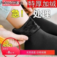 [Gói 20 Cái] Lớp Lót Lông Cừu Dày Thu Đông Nam Nữ Tất Tuyết Chống Đông Ấm Tất Nữ Tầng Tất Lạnh