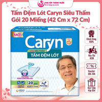 Gói 20 Miếng Tấm Đệm Lót Caryn Siêu Thấm Trải Giường Bệnh Và Xe Lăn - Kích Thước 42 Cm x 72 Cm - Kho Bỉm Thanh Ngân