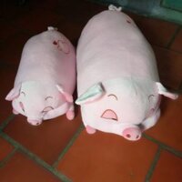 Gối 3d con heo hí 75cm