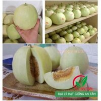 Gói 5 gam hạt giống dưa lê siêu ngọt Nhật Bản F1