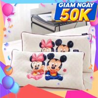 GỐI CAO SU HOẠT HÌNH DISNEP 100% bọt cao su thấm hút mồ hôi tốt | gối cao su non cho bé