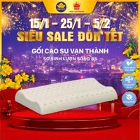 Gối cao su Vạn Thành Sơ Sinh lượn sóng B5